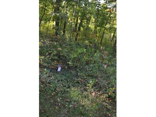 Property photo 52 - REAL ESTATE AUCTION IN ALLEN CO., INDIANA
